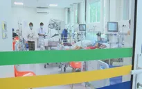 TP. Hồ Chí Minh: Ca sốt xuất huyết mới tăng 3 lần so với cùng kỳ năm 2022