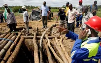 Zimbabwe: Hơn 60 thợ mỏ có thể đã thiệt mạng trong tai nạn mỏ vàng