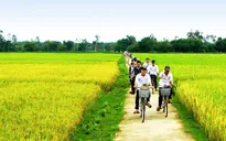 Trời chuyển nắng từ sớm ở các tỉnh Bắc miền Trung