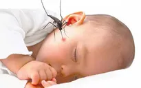 Cách phòng bệnh sốt xuất huyết hiệu quả