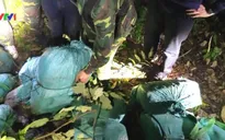 "Ma" ma túy: Phải làm gì để bớt đi những bi kịch khủng khiếp?