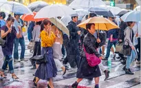 Nhật Bản phát triển radar công nghệ cao dự báo mưa trước 30 phút