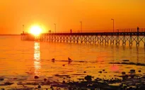 Australia như thiêu đốt dưới cái nóng gần... 50 độ C