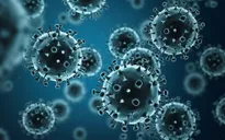 9 người tử vong do cúm lợn H1N1 ở Maroc