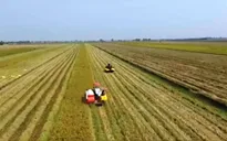 Tìm đầu ra cho gạo xuất khẩu