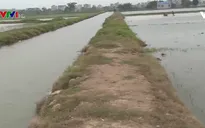 Hoàn thành lấy nước sản xuất vụ Đông Xuân