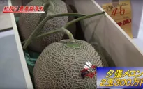 Quả dưa đắt tiền hơn 1 chiếc ô tô và 11 thực phẩm đắt giá nhất thế giới