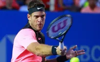 Juan Martin Del Potro nhận suất đặc cách tham dự giải Acapulco mở rộng