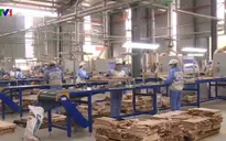 Ngành gỗ phấn đấu xuất khẩu 11 tỷ USD trong năm 2019