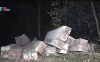 Đắk Lắk: Truy tìm các đối tượng liên quan đến bãi tập kết gỗ "khủng"