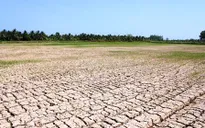 Năm 2019: Bão có xu hướng hoạt động muộn; nguy cơ hạn hán, xâm nhập mặn