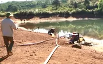 Nhiều diện tích cây trồng tại Lâm Đồng bị khô hạn