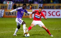 Lịch thi đấu và trực tiếp vòng 26 V.League 2019: CLB Hải Phòng - CLB TP Hồ Chí Minh, Than Quảng Ninh - CLB Hà Nội