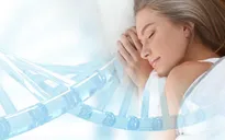Phát hiện gene gây ngủ