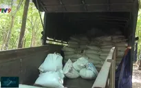 Vấn nạn đổ bùn thải bừa bãi bất chấp hệ lụy