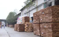 Giải bài toán nguyên liệu cho ngành gỗ Việt Nam