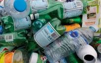 Anh xem xét quy định bắt buộc giao trả vỏ lon, chai