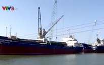 Kiến nghị xử lý nghiêm sai phạm trong thương vụ bán cảng Quy Nhơn