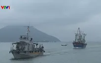 Cứu thuyền viên gặp nạn trên biển