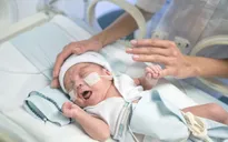 Nhật Bản: Cứu sống bé trai nhỏ nhất thế giới