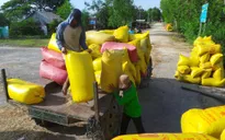 Gỡ nút thắt tín dụng cho ngành lúa gạo