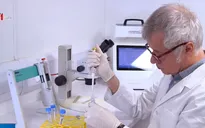 Ngân hàng tóc đầu tiên trên thế giới giúp điều trị hói đầu