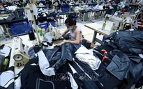 Mexico đánh giá Việt Nam là thị trường tiềm năng trong CPTPP