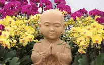 Lễ hội hoa xuân Bái Đính 2019