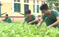 Tết giản dị của các chiến sĩ trên đảo Hòn Khoai