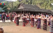 Đón xuân trên dãy Trường Sơn