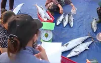 Hà Tĩnh đẩy mạnh xuất khẩu thủy sản