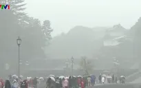 Giá rét bất thường ở Tokyo, hơn 140 chuyến bay bị hủy