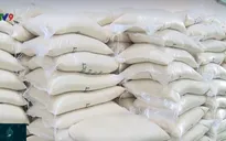 Gạo chất lượng cao hút hàng cả xuất khẩu và thị trường nội địa