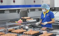 Giá trứng gia cầm giảm sâu
