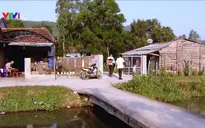 Ngăn ngừa dịch sốt xuất huyết trong cộng đồng