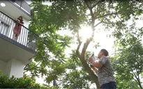 Gia đình 4.0: Nườm nượp trai đẹp tới nhà "trồng cây si" liệu cô Ế có thoát đời độc thân?