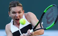 Simona Halep nhọc nhằn giành quyền vào vòng 4 Indian Wells