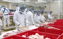 Thịt lợn sạch tại siêu thị vẫn giữ giá cao