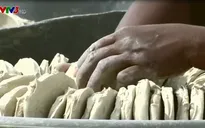 Món ăn đặc biệt được làm từ... bùn