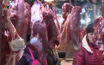 Người dân bức xúc trước thông tin sai lệch về dịch tả lợn châu Phi
