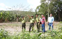 Cảnh báo cháy rừng cấp nguy hiểm tại ĐBSCL