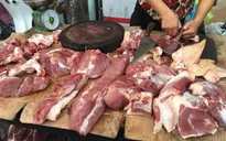 Thương lái ép giá lợn do dịch tả châu Phi