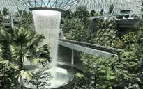 Sân bay Singapore mở cửa khu rừng và thác nước nhân tạo lớn nhất thế giới
