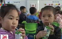 Nỗ lực triển khai hiệu quả chương trình sữa học đường