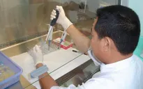 Việt Nam thuộc top những nước có tỷ lệ vô sinh cao nhất thế giới