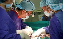 Hơn 20.000 người đã đăng ký hiến mô tạng sau khi qua đời