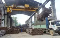 Thiếu nguyên liệu, nhà máy đường kết thúc sớm vụ ép