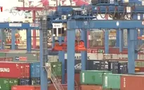 Xuất khẩu hàng hóa của doanh nghiệp FDI giảm mạnh trong tháng 2/2019