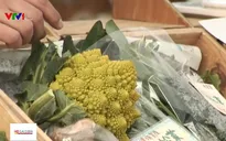 Nhật Bản cho phép lưu thông thực phẩm biến đổi gen