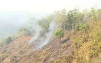 Tây Nguyên nguy cơ cháy rừng rất cao, ĐBSCL xâm nhập mặn tăng